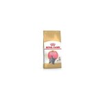Croquettes pour chats royal canin british shorthair kitten 400 g adult volaille
