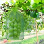 Sac antimouches et oiseaux pour melons, 100 pi�ces, 30 x 20 cm, avec cordon de serrage pour une protection ...