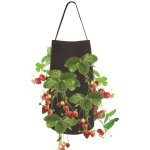 Sacs de culture de fraises 15 x 9 pouces, 8 trous de culture, jardinière suspendue, respirant avec poignées ... Sacs de culture de fraises 15 x 9 pouces, 8 trous de culture, jardinière suspendue, respirant avec poignées ...