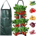 [jamais utilis�]sac de plantation fraisier - verte 1pc culture potager tour a fraise suspendre avec 8 ...