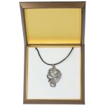 Saint bernard, chien saint bernard - un collier avec un chien dans une bote cadeau, un mdaillon plaqu ...