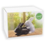 Sali�re et poivri�re - winkee - couple de lapin - blanc - adulte - duo coquin