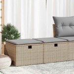 Salon de jardin avec coussins 2 pcs beige r�sine tress�e acacia - vidaxl