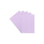 Sans marque - sous - chemise standard 60 g 22 x 31 cm couleur - paquet de 100 - violet - maxiburo