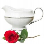 Sauci�re en porcelaine chodzie? 500 ml astra dream platinum polish product