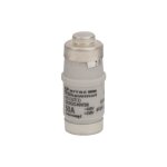 Mersen neozed fusible d02gg40 v50 d02, 50 a blanc d0 fusible 4086500010004 d215191