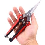 S�cateur droit, ciseaux de fleuriste, cisailles de jardin multi - t�ches pour arranger les fleurs, tailler ...