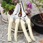 Scateur de jardinage  main pour bonsa, ciseaux de jardin de haute prcision avec lame incurve et ...