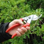 S�cateur � lame franche gaucher 25 mm x 210 mm x 65 mm