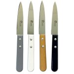 Set couteaux office essentiels 4 pices manches couleur en bois 9 cm - pradel