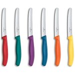 Victorinox - boite 6 couteaux tomate victorinox swissclassic 11cm assortis