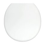 Sfa - abattant pour wc sanicompact 43 de frein de chute blanc Sfa - abattant pour wc sanicompact 43 de frein de chute blanc