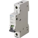 Siemens - 5sl41136 disjoncteur 1 pôle 13 a 230 v, 400 v w907491 Siemens - 5sl41136 disjoncteur 1 pôle 13 a 230 v, 400 v w907491