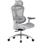 Sihoo doro c300 chaise de bureau ergonomique avec accoudoirs ultra doux en 3d, soutien lombaire dynamique ...