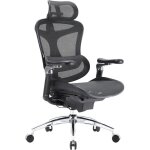 Sihoo doro c300 pro chaise bureau ergonomique avec accoudoirs ultra - doux 6d, soutien lombaire dynamique ...