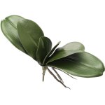 Simulation eva phalaenopsis feuilles feuilles d'orchides, fausse feuille real touch latex cymbidium ...