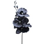 Simulation phalaenopsis unique noir danse orchid�e soie simulation plante mariage d�coration de la maison ...