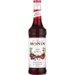 Sirop barman aux baies rouges pices monin 700 ml