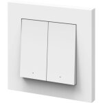 Smart + wifi remote wall switch 2 button