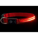 Sollbry - collier de chien lumineux pour la marche nocturne, collier de chien led �tanche rechargeable, ...