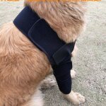 Sollbry coudière pour chien pour épaules, pattes avant, luxations, escarres, blessures, arthrite, perte ... Sollbry coudière pour chien pour épaules, pattes avant, luxations, escarres, blessures, arthrite, perte ...