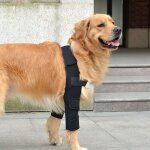 Coudière pour chien pour épaules, pattes avant, luxations, escarres, blessures, arthrite, perte de stabilité, ... Coudière pour chien pour épaules, pattes avant, luxations, escarres, blessures, arthrite, perte de stabilité, ...