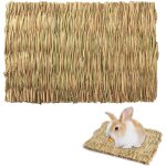 Tapis d'herbe pour les lapins, tapis d'herbe pour petit animal, hamster tapis d'herbe, tapis d'herbe ... Tapis d'herbe pour les lapins, tapis d'herbe pour petit animal, hamster tapis d'herbe, tapis d'herbe ...
