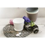 Soucoupe pour pot de fleurs en plastique azalea blanc 14, 5 cm