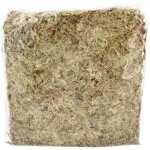 Sphaigne du chili ? sachet 1 kg ? support de culture naturel