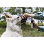 Spray buccal naturel green sante pour chiens et chats 100 ml Spray buccal naturel green sante pour chiens et chats 100 ml