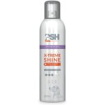Spray finition brillance 'x - treme shine' 300 ml