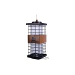 Mangeoire à oiseaux anti - écureuils, mangeoires à oiseaux en métal pour l'extérieur, attirant les pinsons, ... Mangeoire à oiseaux anti - écureuils, mangeoires à oiseaux en métal pour l'extérieur, attirant les pinsons, ...