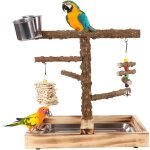 Stand bois naturel 35, 6 � 26 � 34 cm ? station compl�te alimentation / entra�nement / exercice avec ...