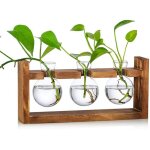 Station de propagation 3 pcs ampoule vase d'avocat vase en verre de gland pour fleurs terrarium pot planteur ...