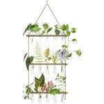 Station de propagation plantes avec 15 tubes � essai et support bois pour boutures hydroponie plantes ...
