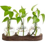 Station de propagation de plantes de bureau ? t�rrarium en verre avec plateau en bois, vase � fleurs ...