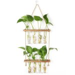 Station de propagation avec support en bois vase mural, verre suspendu pour plantes hydroponiques