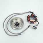 Stator rotor d allumage rms pour scooter gilera 50 typhoon 2000