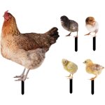 Statue de poule sur piquets de jardin, 5 pi�ces, art de cour, panneau de pelouse en m�tal, sculptures ...