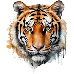 Autocollant mural ? tte de tigre