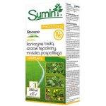 Sum29 vieilles pelouses, d�sherbant pour pelouses, herbicide 250 ml, contre le pissenlit