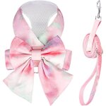 Sunxury - ensemble harnais et laisse pour chien avec n?ud papillon mignon, harnais pour chiot lgant ...