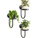 Support mural plantes lot de 3 - �tag�re porte - pots en m�tal forme en u pour salon & balcon, d�coration ...