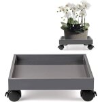 Support de pot de fleur à roulette, porte plante a roulettes, soucoupe pour plantes en abs, pour déplacer ... Support de pot de fleur à roulette, porte plante a roulettes, soucoupe pour plantes en abs, pour déplacer ...