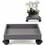 Support de pot de fleur � roulette, porte plante a roulettes, soucoupe pour plantes en abs, pour d�placer ...