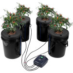 Systeme de culture hydroponique dwc, kit de culture en eau profonde 20 l 4 seaux, avec pompe a air, pierres ...