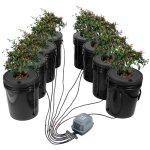 Systeme de culture hydroponique dwc, kit de culture en eau profonde 20 l 8 seaux, avec pompe a air, pierres ...