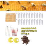 Syst�me d'�levage de reines d'abeilles kit de coupelle de cellule d'�levage en plastique fournitures ...