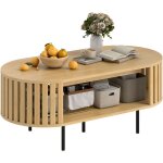 Table basse - homcom - ovale - avec rangement - coins arrondis - design lattes - pieds acier - 100 x ...