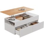 Table basse relevable 100x50x40 cm, avec tiroirs, espace de rangement semi - ouvert, blanc